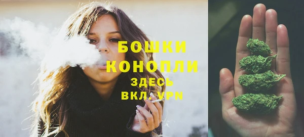 бошки Богданович