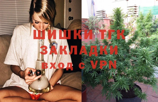 дмт Богородск