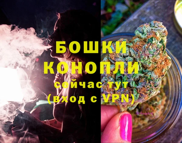 дмт Богородск