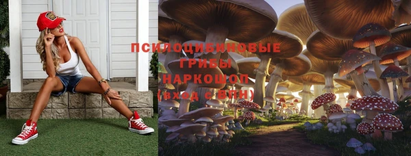 бошки Богданович