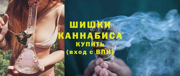 дмт Богородск